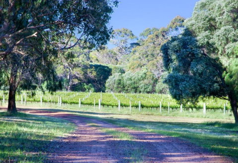 Tintagel Estate I Private Properties - Accommodation Adelaide 1
