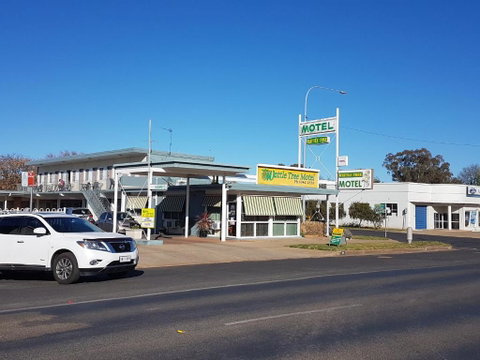 Wattle Tree Motel - Accommodation Adelaide 1