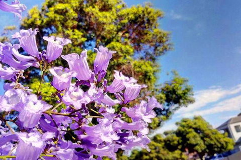 Big Perth (Private) Day Tour - Accommodation Adelaide 3