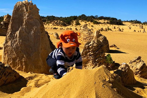 Perth Kids Explorer (Private) Day Tour - Accommodation Adelaide 3