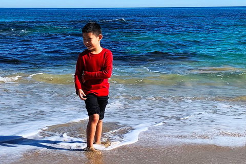 Perth Kids Explorer (Private) Day Tour - Accommodation Adelaide 4