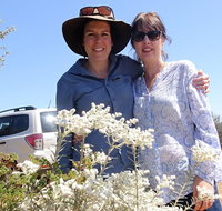 Spring Wildflower Private Day Tours - Accommodation Adelaide
