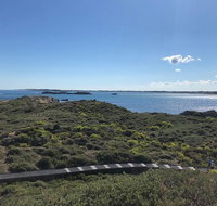 Penguin Island And Fremantle - Canoe Chocolate  Coffee - Accommodation Adelaide