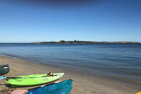 Penguin Island And Fremantle - Canoe, Chocolate & Coffee - Accommodation Adelaide 2