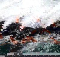 Cruise in Moreton Bay Marine Park and Moreton Island - Accommodation Adelaide