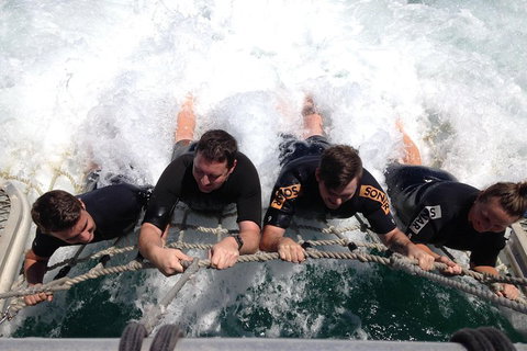 Cruise In Moreton Bay Marine Park And Moreton Island - Accommodation Adelaide 0