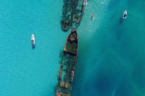Cruise In Moreton Bay Marine Park And Moreton Island - Accommodation Adelaide 1