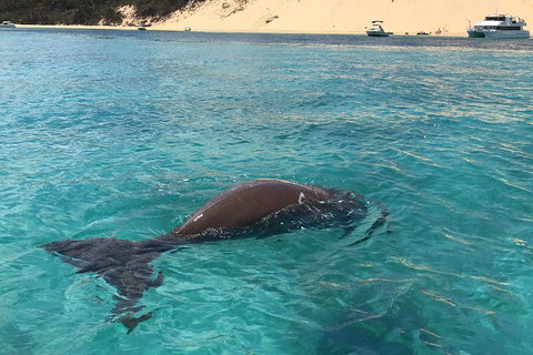 Cruise In Moreton Bay Marine Park And Moreton Island - Accommodation Adelaide 2