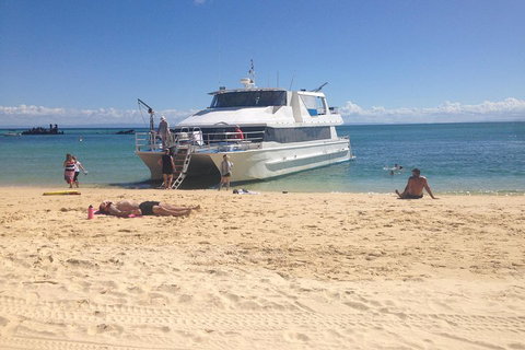 Cruise In Moreton Bay Marine Park And Moreton Island - Accommodation Adelaide 4