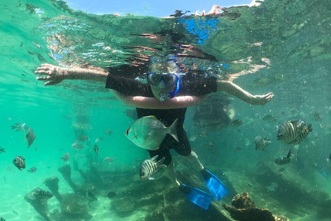 Cruise In Moreton Bay Marine Park And Moreton Island - Accommodation Adelaide 5