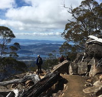 kunanyi / Mt Wellington Explorer Bus - 2 Hour Return Tour - Accommodation Adelaide