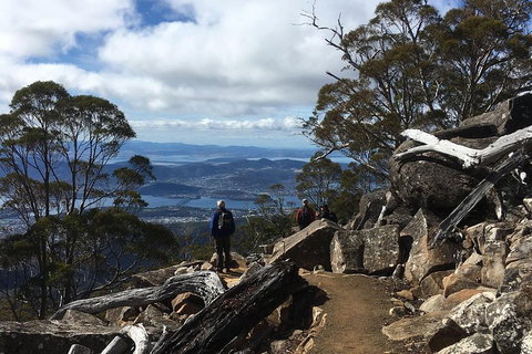 Kunanyi / Mt Wellington Explorer Bus - 2 Hour Return Tour - Accommodation Adelaide 0