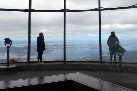 Kunanyi / Mt Wellington Explorer Bus - 2 Hour Return Tour - Accommodation Adelaide 1