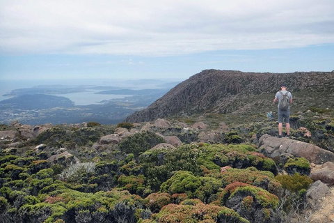 Kunanyi / Mt Wellington Explorer Bus - 2 Hour Return Tour - Accommodation Adelaide 3