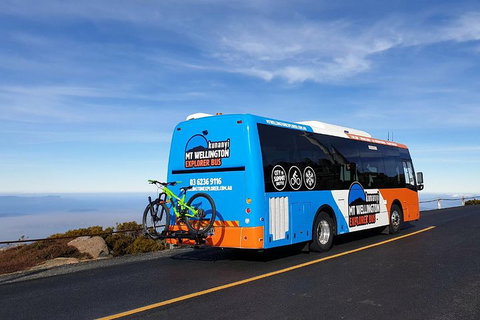 Kunanyi / Mt Wellington Explorer Bus - 2 Hour Return Tour - Accommodation Adelaide 4