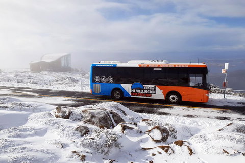 Kunanyi/Mt Wellington Tour & Hobart Hop-On Hop-Off Bus - Accommodation Adelaide 2
