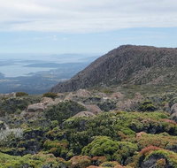 kunanyi/Mt Wellington Explorer Bus - One Way Tour - Accommodation Adelaide