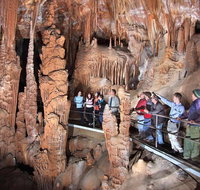 Private Tour Jenolan Caves  Blue Mountains in a day - Accommodation Adelaide