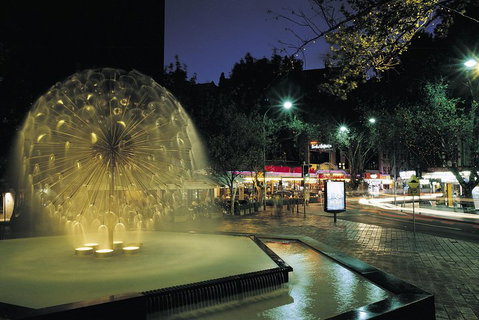 Private Tour: Sydney At Night - Accommodation Adelaide 1