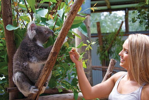 Private Guided Tour: Blue Mountains Tour From Sydney - Accommodation Adelaide 5