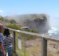 Sydney Shore Excursion Half-Day Sydney City Highlights with Bondi Beach and Watsons Bay - Accommodation Adelaide