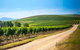 Full Day Tamar Valley Wine Tour - thumb 1