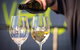 Full Day Tamar Valley Wine Tour - thumb 2