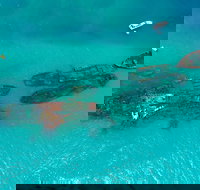 Private Tangalooma Wrecks Tour - Accommodation Adelaide