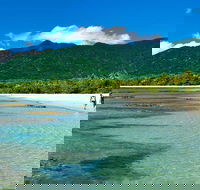 5-Day Best of Cairns with Daintree Kuranda and Great Barrier Reef - Accommodation Adelaide