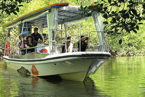5-Day Best Of Cairns With Daintree, Kuranda, And Great Barrier Reef - Accommodation Adelaide 1
