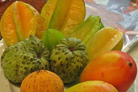 Cairns 4WD Waterfall And Rainforest Tour Including Kuranda Scenic Railway - Accommodation Adelaide 4