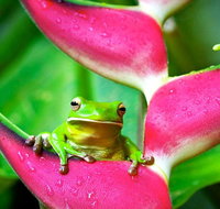 3-Day Best of Cairns Combo The Daintree Rainforest Great Barrier Reef and Kuranda - Accommodation Adelaide