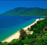 Cairns Reef and Rainforest Combo Daintree Rainforest and the Great Barrier Reef - Accommodation Adelaide