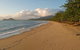 Cairns Reef And Rainforest Combo: Daintree Rainforest And The Great Barrier Reef - thumb 4