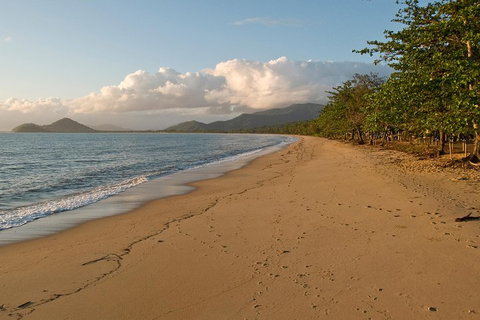 Cairns Reef And Rainforest Combo: Daintree Rainforest And The Great Barrier Reef - Accommodation Adelaide 4