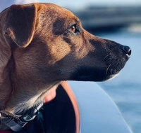 1.5-Hour Boat Rental in Melbourne