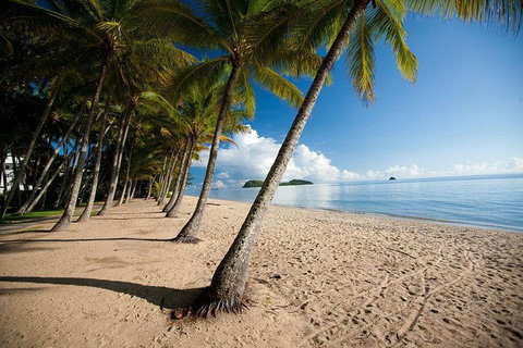 Kuranda Day Trip From Port Douglas Upgrade To Skyrail & Scenic Train Available - Accommodation Adelaide 1