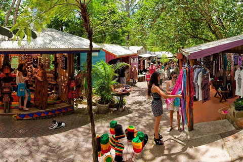 Kuranda Day Trip From Port Douglas Upgrade To Skyrail & Scenic Train Available - Accommodation Adelaide 2