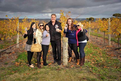 McLaren Vale Winery Small Group Tour With Wine Tasting And Lunch - Accommodation Adelaide 3