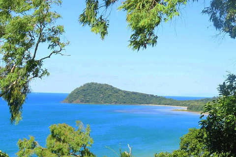 Full Day Tour In The Daintree - Accommodation Adelaide 1