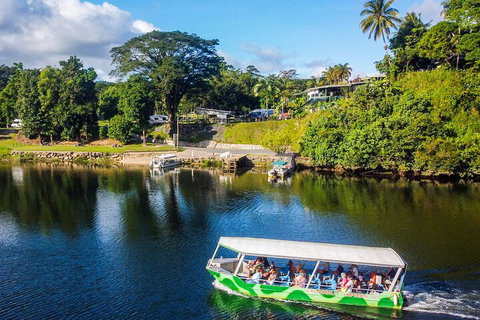 Full Day Tour In The Daintree - Accommodation Adelaide 2
