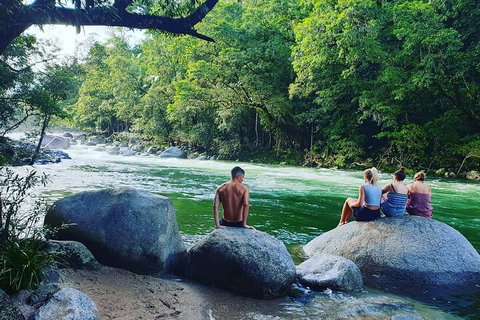 Full Day Tour In The Daintree - Accommodation Adelaide 3