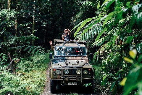 Full Day Tour In The Daintree - Accommodation Adelaide 4