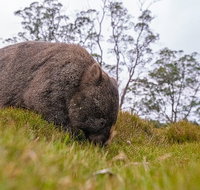 3-Day Cradle Mountain Photography Workshop - Accommodation Adelaide