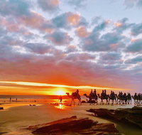 1 Hour Broome Sunset Camel Tour - Accommodation Adelaide