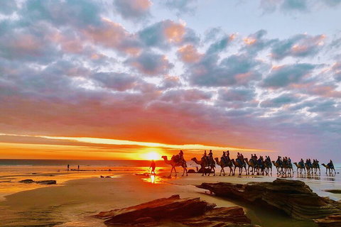 1 Hour Broome Sunset Camel Tour - Accommodation Adelaide 0