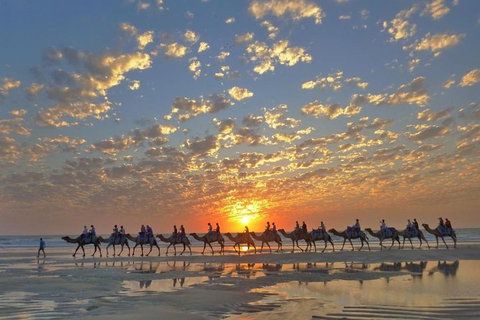 1 Hour Broome Sunset Camel Tour - Accommodation Adelaide 1