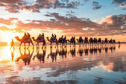 1 Hour Broome Sunset Camel Tour - Accommodation Adelaide 2