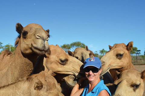 1 Hour Broome Sunset Camel Tour - Accommodation Adelaide 3
