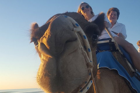 1 Hour Broome Sunset Camel Tour - Accommodation Adelaide 4